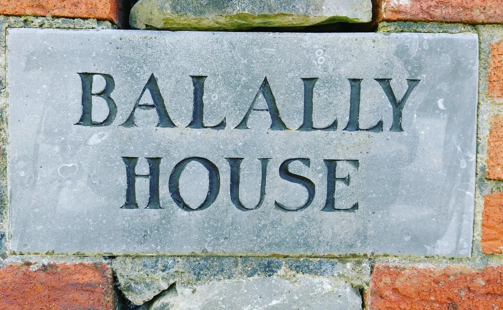 Balally House Bed & Breakfast Shannon Exterior photo